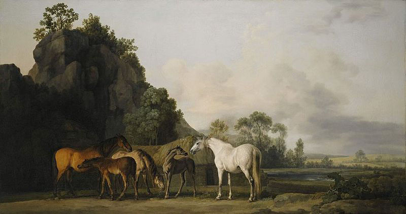 Brood Mares and Foals,